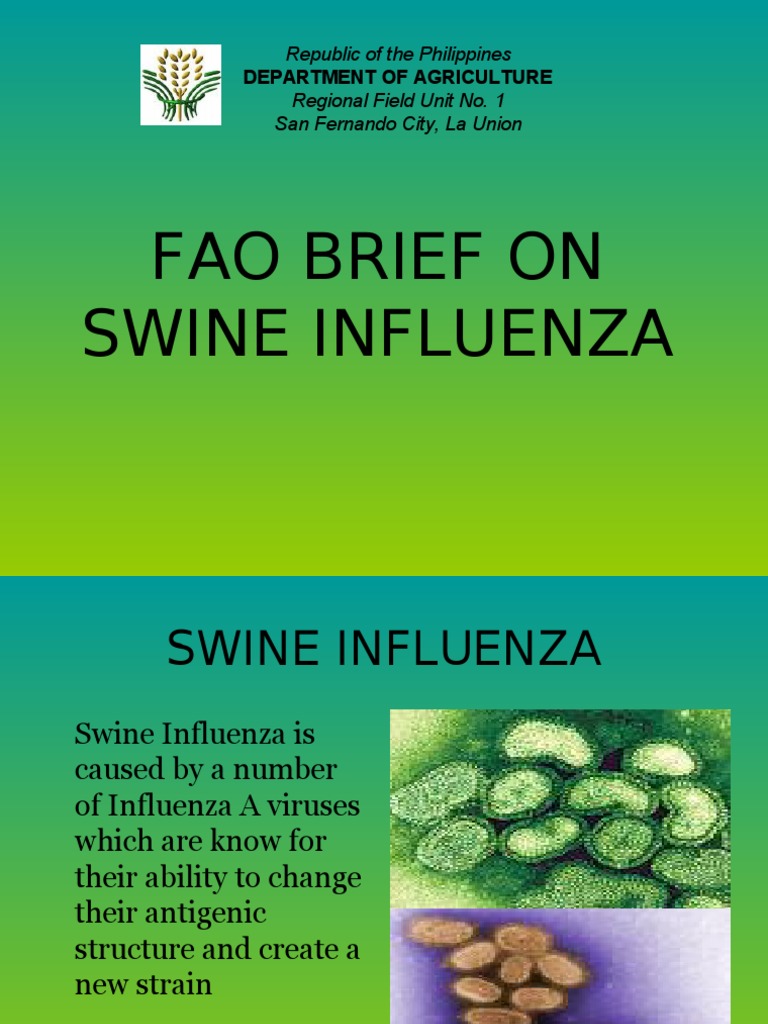 Fao Brief On Swine Influenza | PDF | Swine Influenza | Influenza