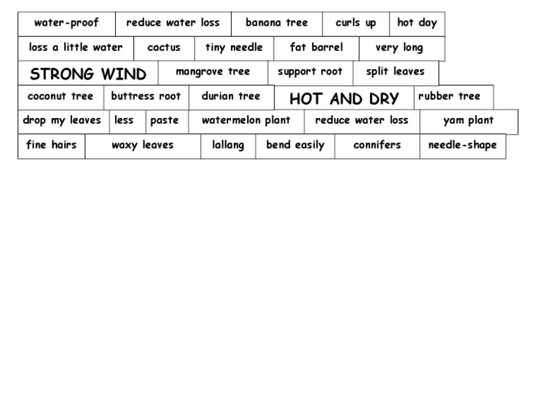 Coconut Tree Adaptations Chart | PDF