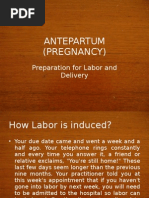 Download Antepartum by Iris Caberte SN18958808 doc pdf