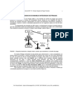 MIPFlorestas conceitos mip