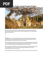 Download tugasbahasajepangdocxbyRahmadonaNandaSN189618072 doc pdf