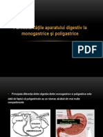 Diferente Monogastrice Poligastricen