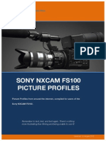 FS100_PP.pdf