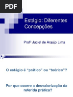 7. Estágio Diferentes Concepções