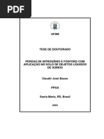 PERDAS DE NITROGÊNIO E FÓSFORO