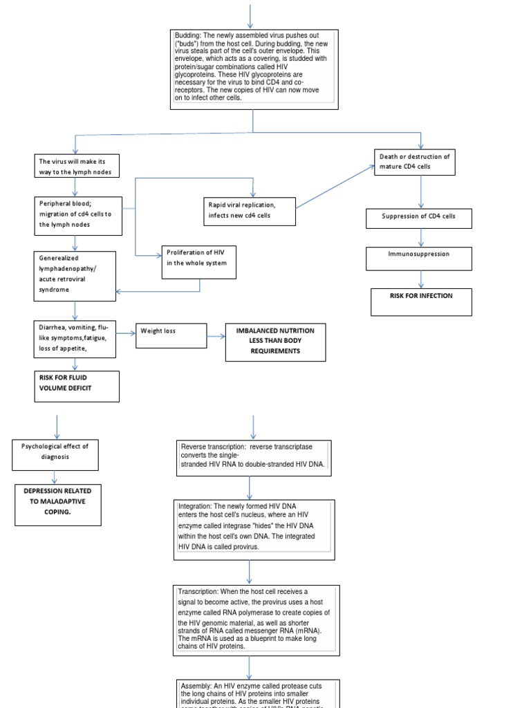 HIV Pathophysiology | PDF