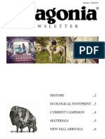 Patagonia Newsletter