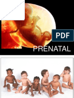 Perkembangan Prenatal Anak