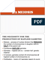 5.2 Meiosis