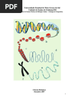 APOSTILA AULAS PRATICAS