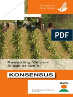 22104 Konsensus Leaflet 2012