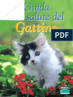 Guida Gattino