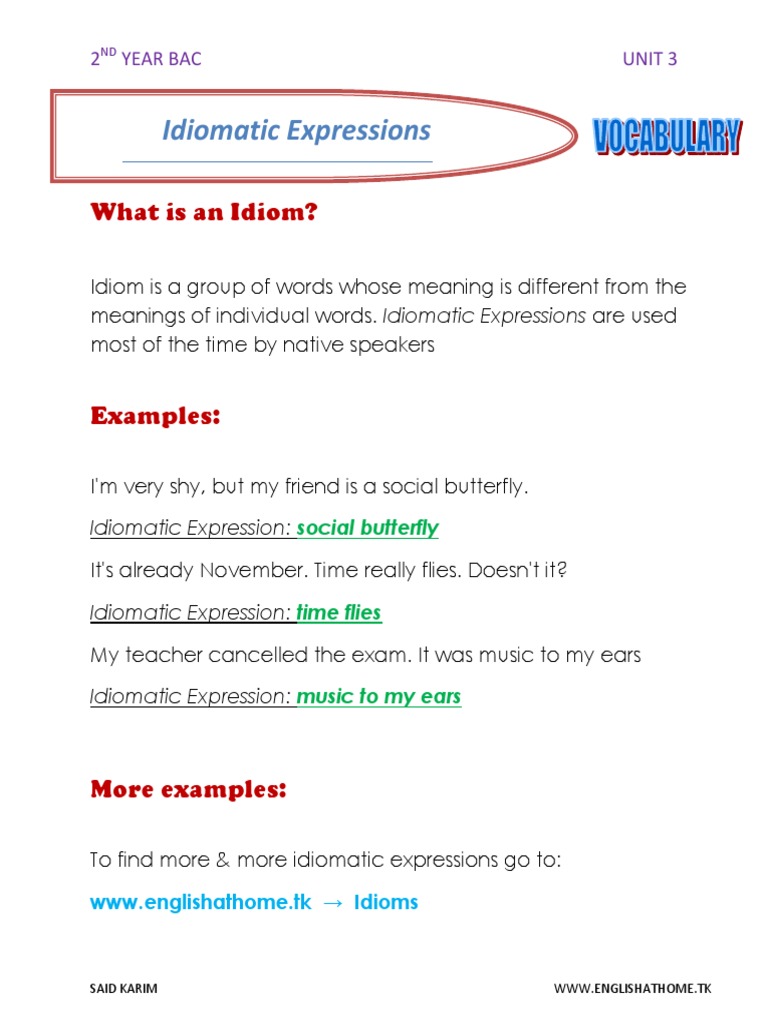 Understanding Idiomatic Expressions | PDF