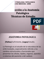 patologia.ppt