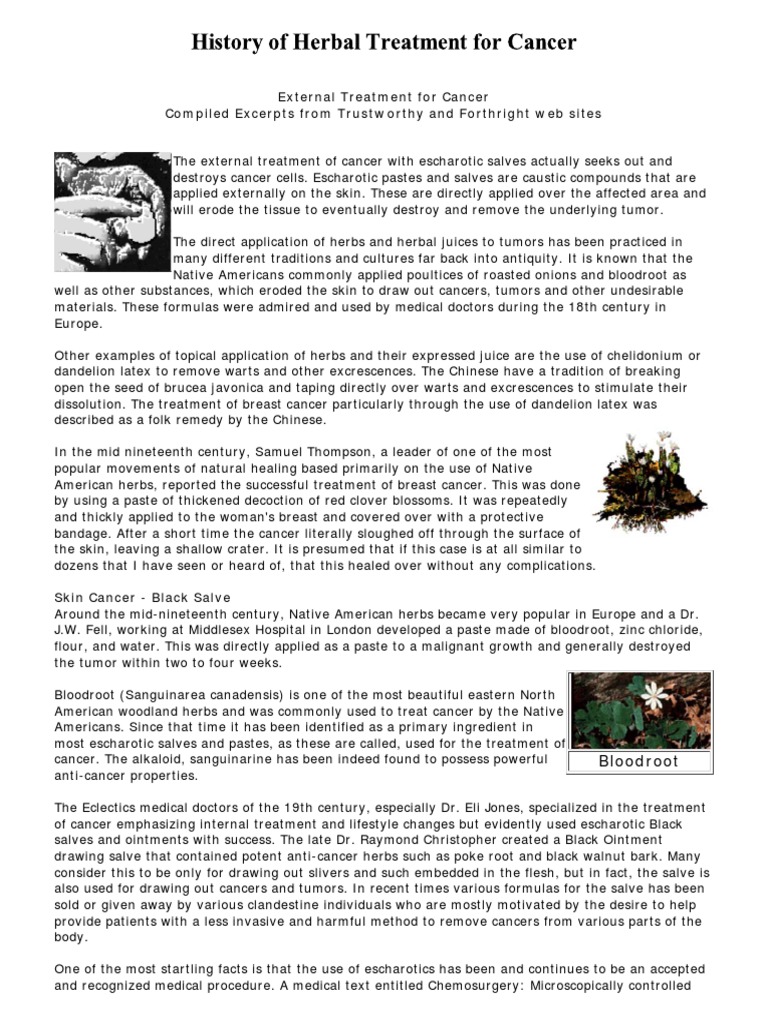 History of Herbal Treatment for Skin Cancer - Cansema ...