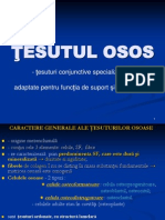 2012 Tesutul Osos