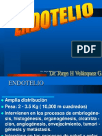 endotelio