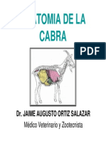 2. Anatomia de La Cabra