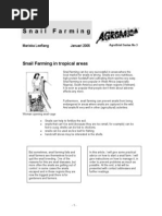 Download Snail Farming Agrobrief by Signora Lofaro SN189965496 doc pdf