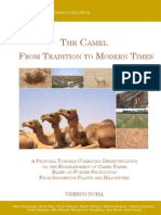 The Camel From Tradition to Modern Times