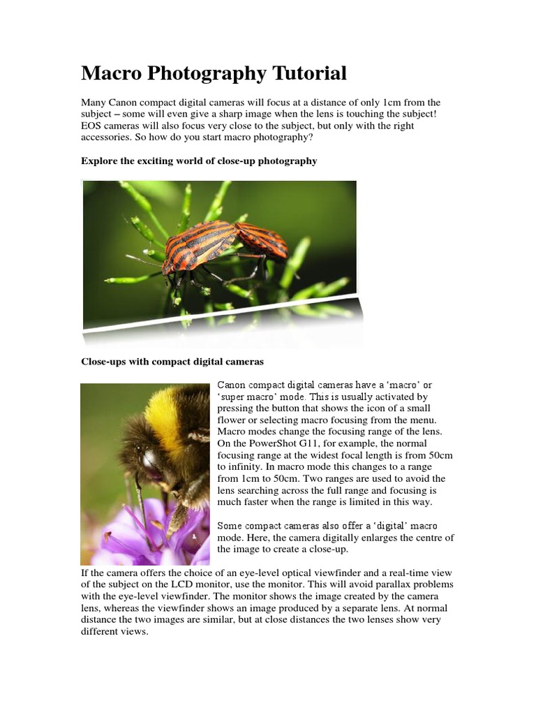 Canon Macro Photography Guide | PDF | Macro Photography | Camera Lens