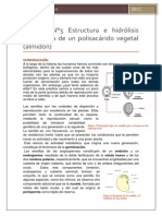 e4 Germinaciòn