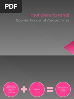 insuficiencia renal