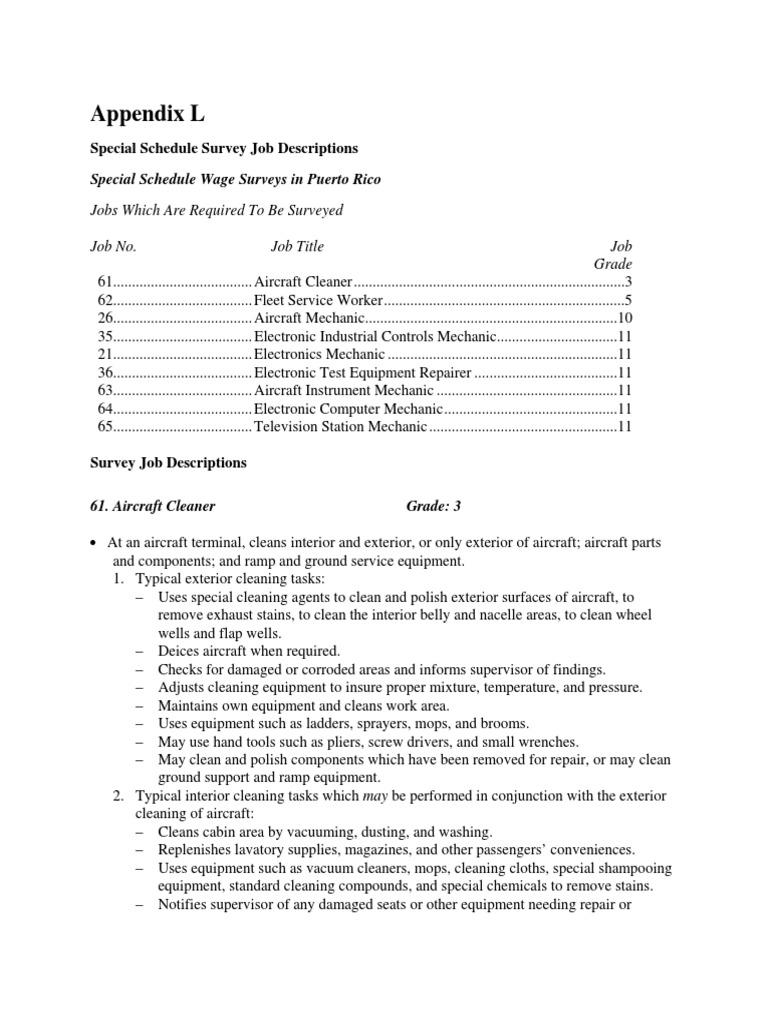 Aircraft Cleaner Housekeeping Cargo