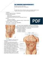 Abdomen. Pardes Abdominales I y II PDF