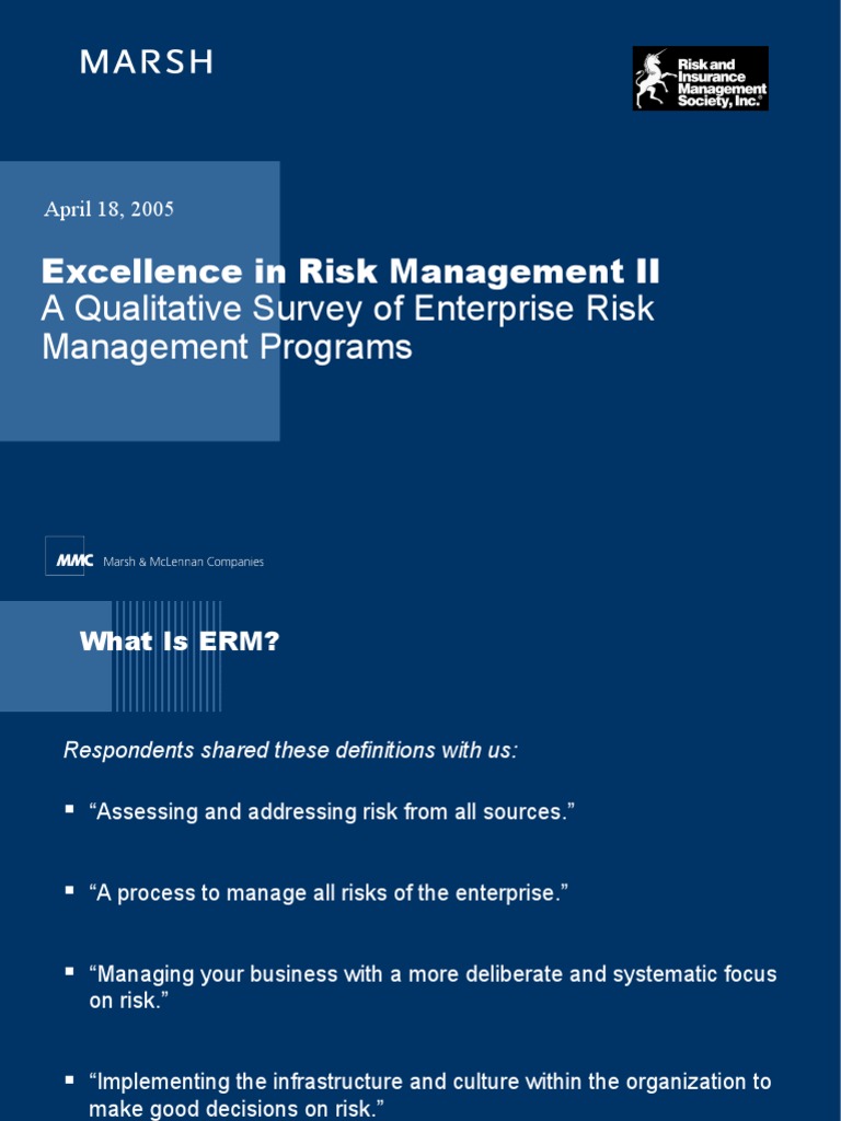 Excellence in Risk Management | PDF | Enterprise Risk Management | Risk ...