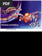 Sintese_proteica