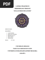 Download Laporan Prak Mirko - Virologi Isolasi Mikroorganisme by kikinanti SN190091640 doc pdf