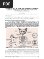 Download kpjithendrantoxoplasma1 by Dr KPJithendran SN19010187 doc pdf