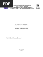 Download Relatrio Sntese da Benzocana_Sarah by Sarah Mariana SN190110973 doc pdf