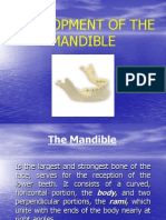 Growth of The Mandible