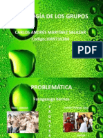 Psicologia de Los Grupos Proyecto