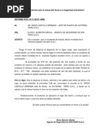 Modelo de Informe de Actividades