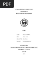 Download Karakterisasi Lipid by Rafian Dizar Santya SN190172511 doc pdf