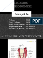 Ligamen Periodontal