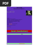Download Nusa Indah by Achmad Barru Rosadi SN190183205 doc pdf