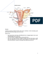 Menstruasi Tidak Teratur Yarsi