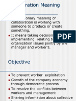 Workers Participation in Management