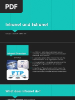 Report Intranet and Extranet