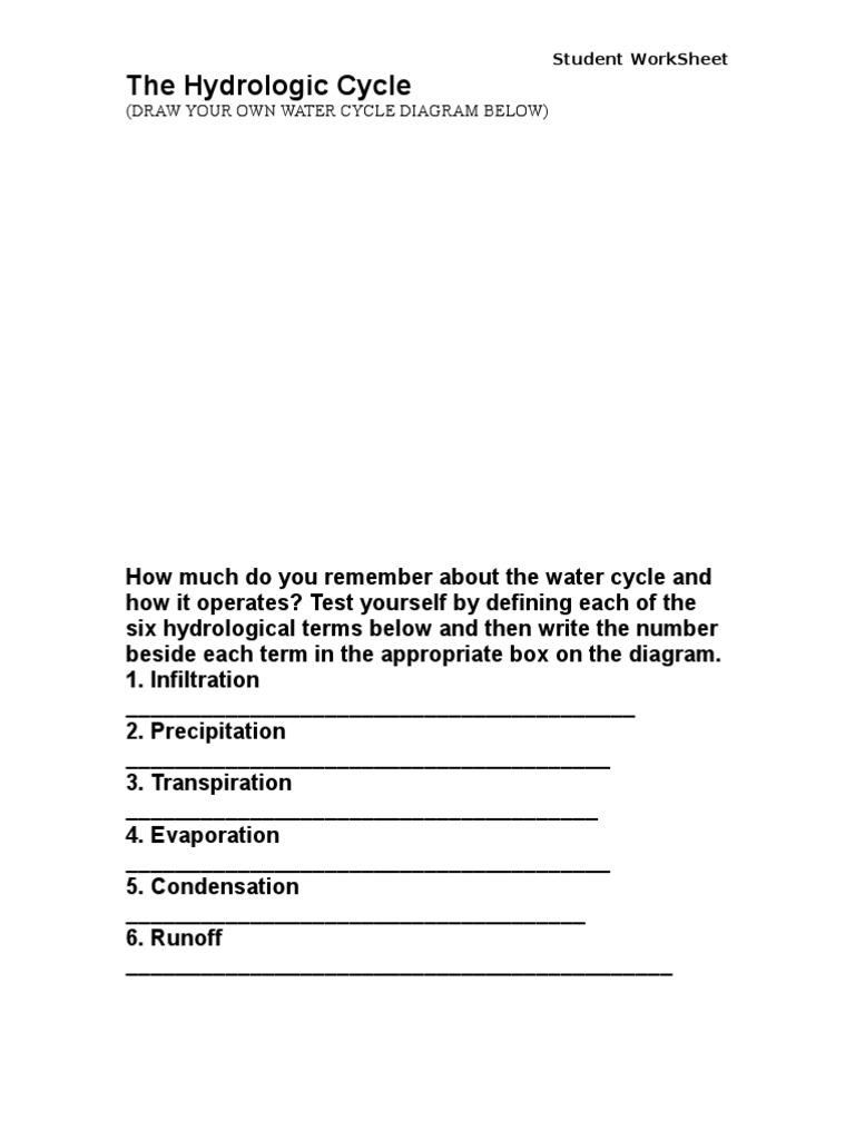 Water Cycle Worksheet for Grade 7 | PDF | Water Cycle | Precipitation