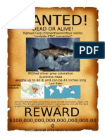 Wanted Poster Template