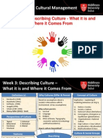 MGT 3190 - Lecture 3 - Describing Culture What It Is and Where It Comes From