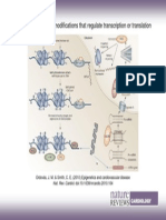 Figure 2 Epigenetic Modifications That Regulate Transcription or Translation