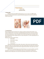 Benigna Prostate Hyperplasia