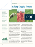 Diversifying Cropping Systems