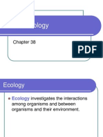 Animal Ecology